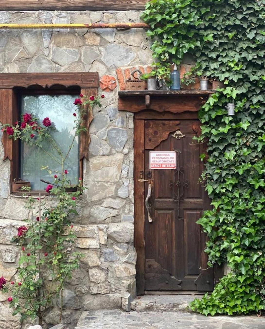 Predeal Club Εξωτερικό φωτογραφία